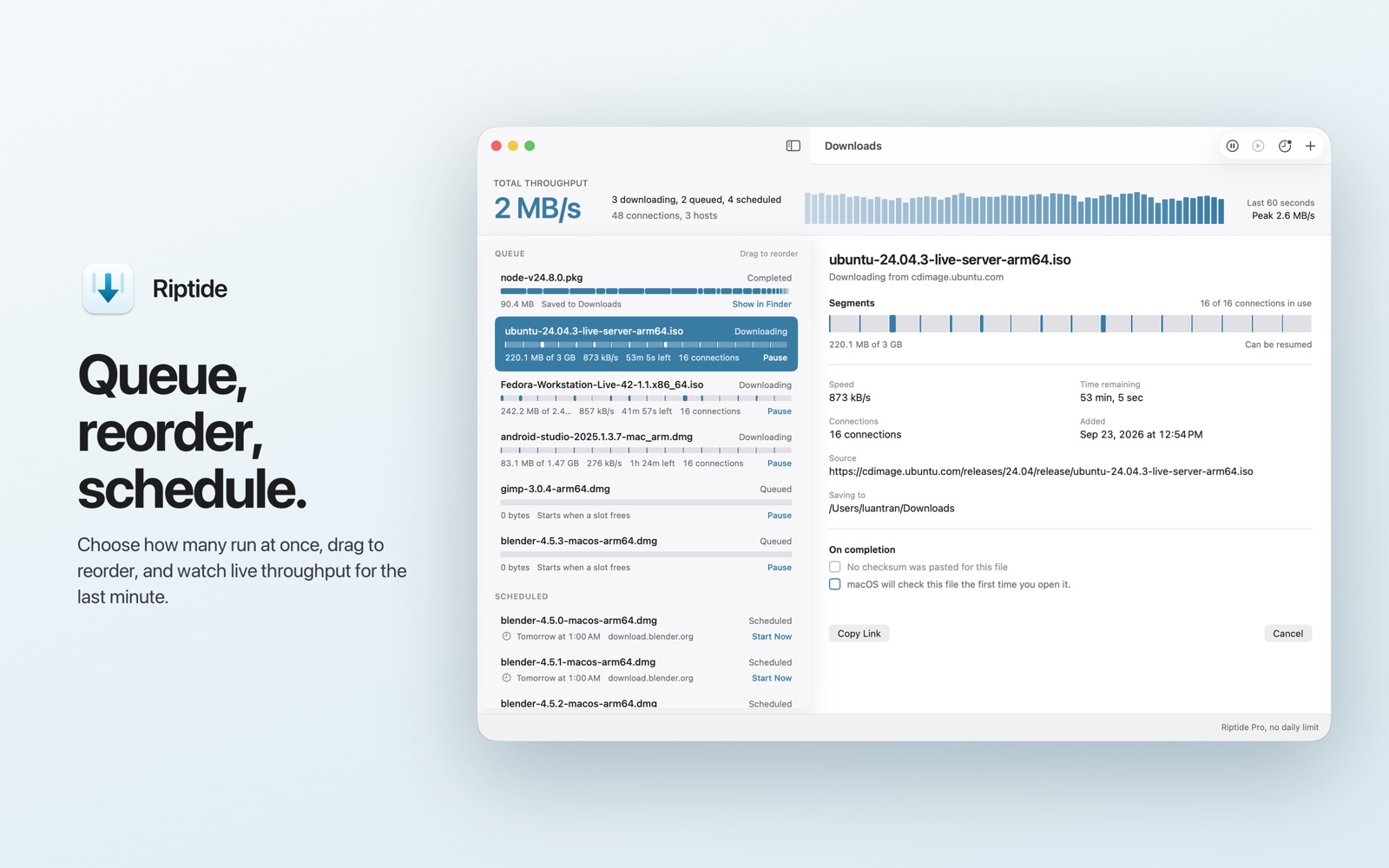 A queue of downloads with the total throughput graph above it