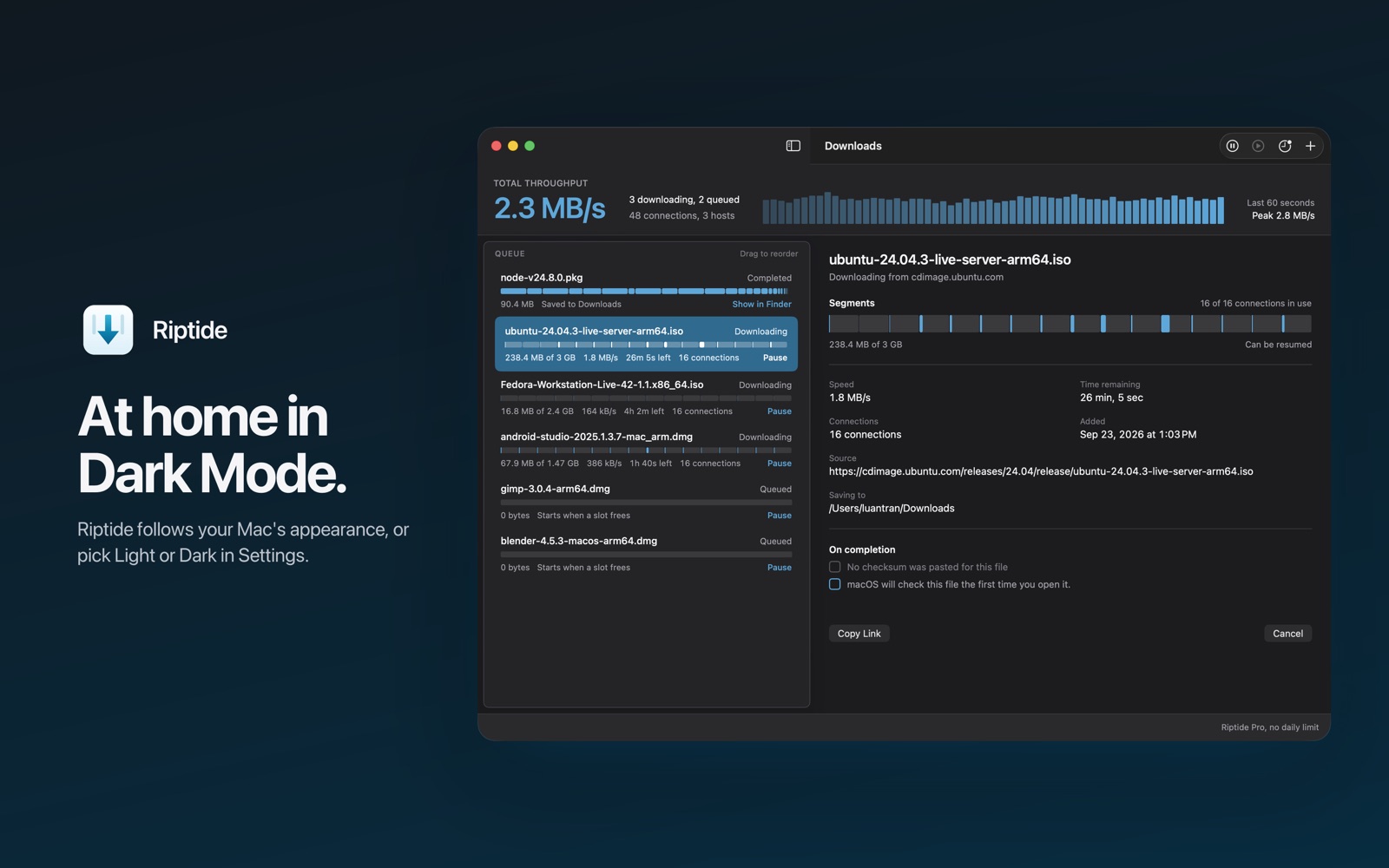 The Riptide window in Dark Mode
